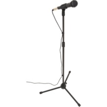 microphone + stand